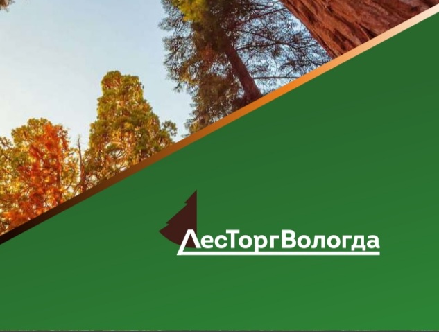 Logotip