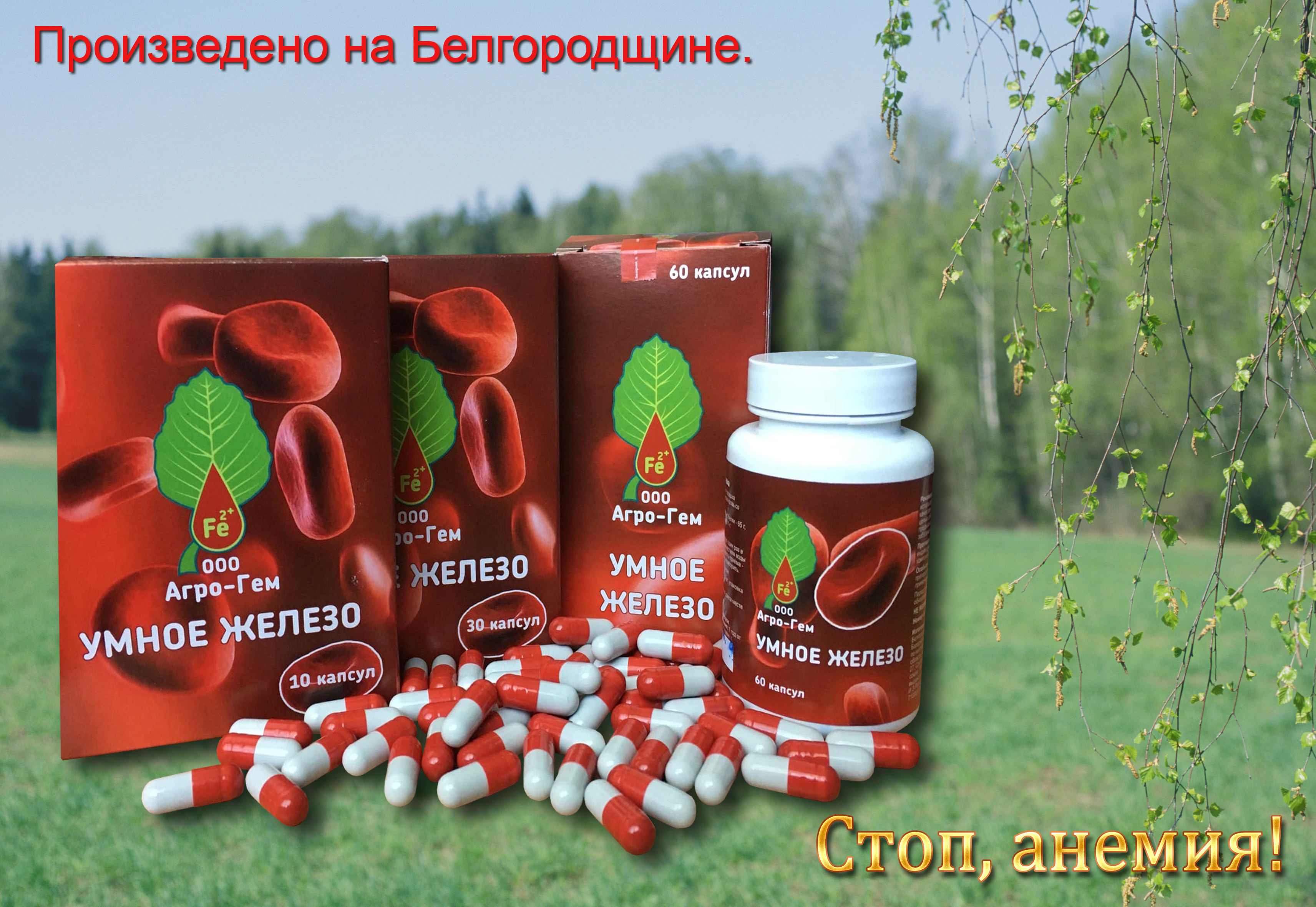 Логотип