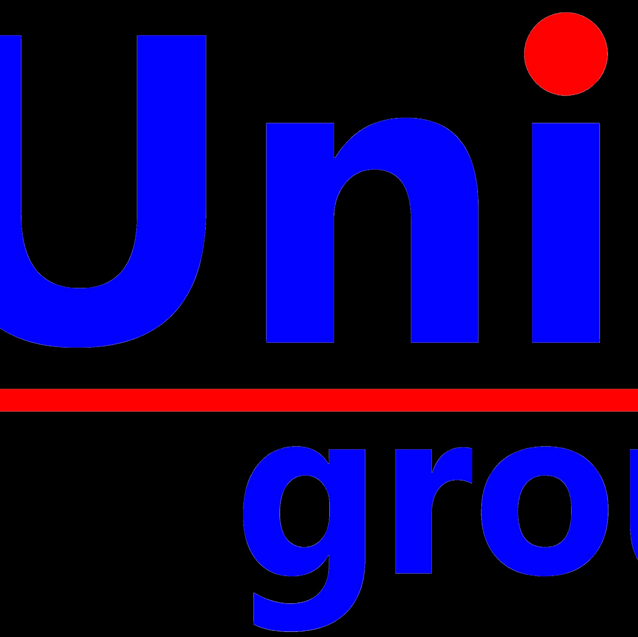 ooo yunion-grupp-