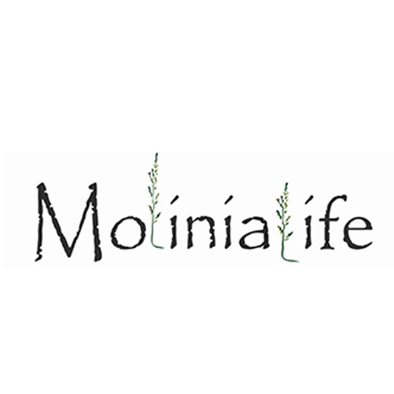 conte elegant-magazin-zhenskoj-odezhdyi