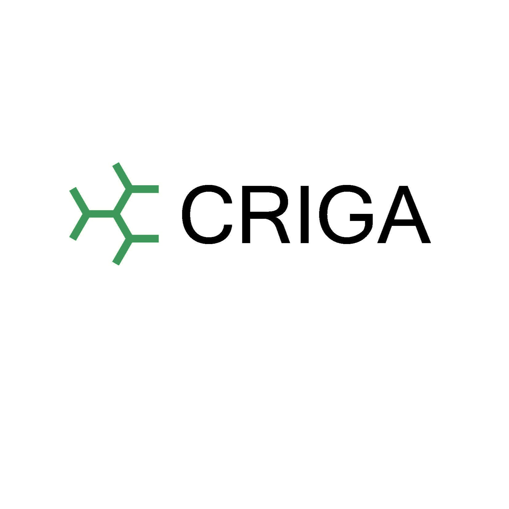 ooo kriga-