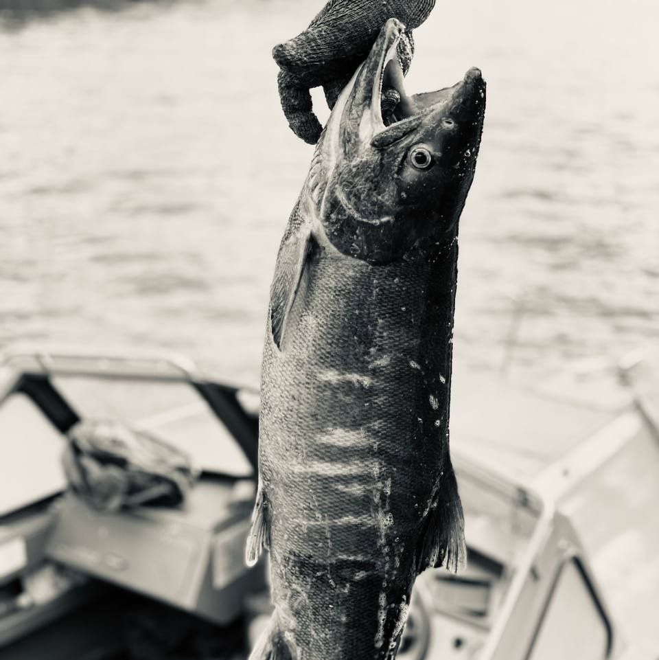 fishspb