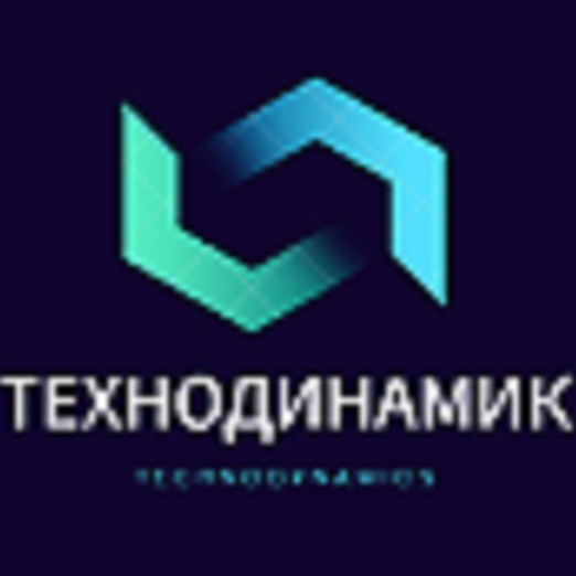 ooo tehnodinamik-