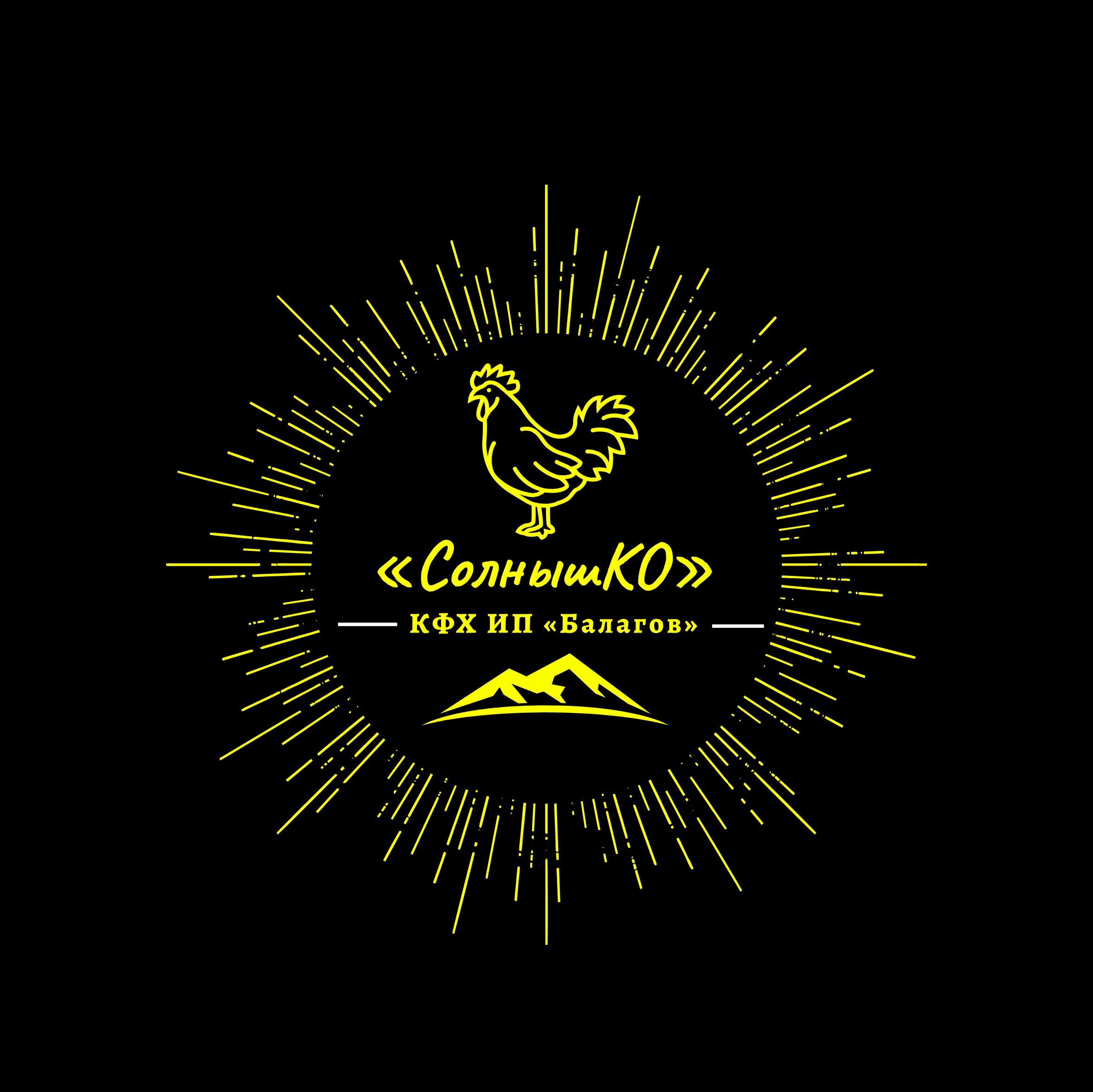 Kompaniya logotipi
