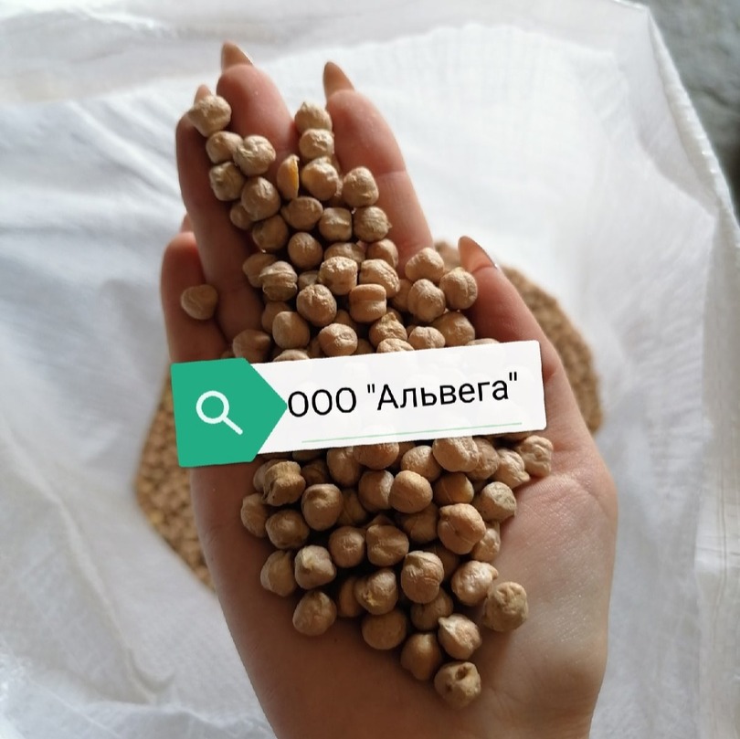 ooo alvega-