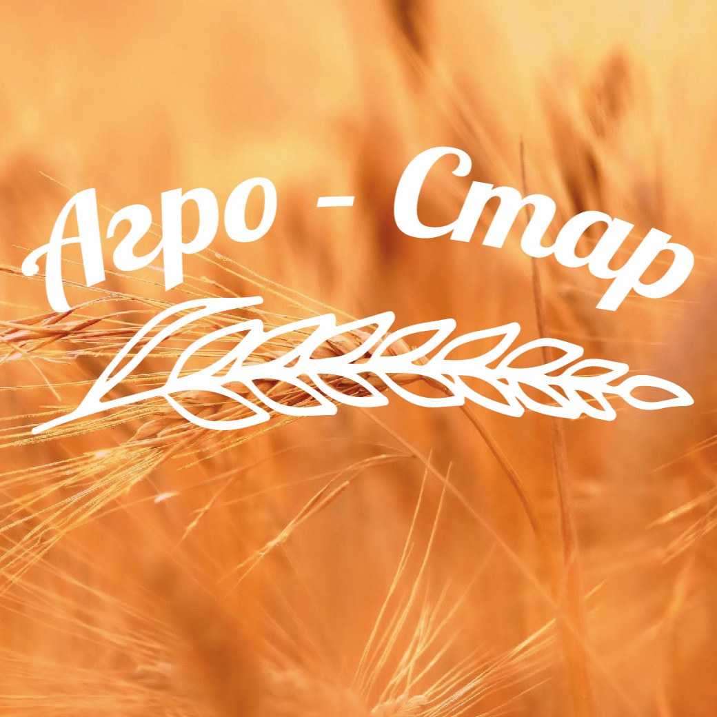 ooo stavkompani-