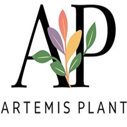ip kondratev-n-a-artemis-plant-