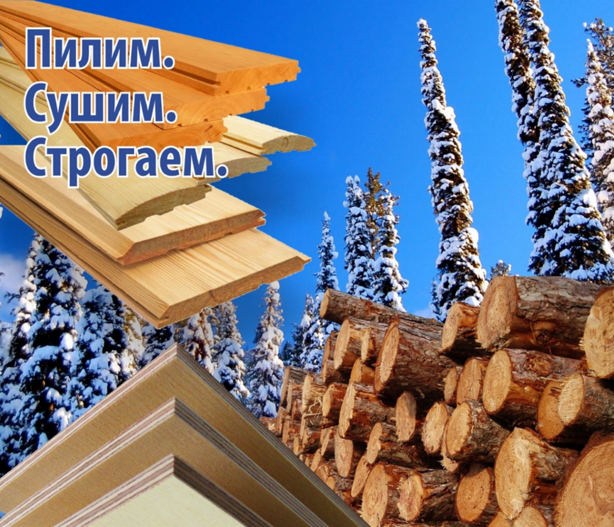 astra ooo-torgovaya-firma