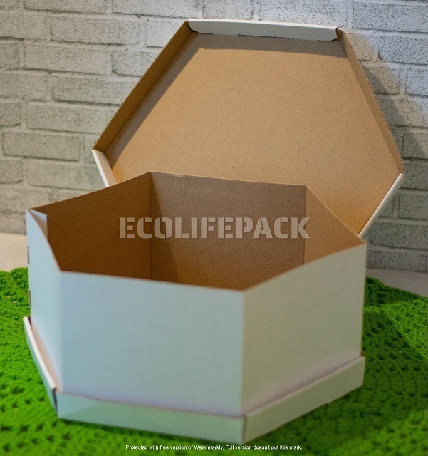 ecolifepack