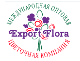 Логотип компании