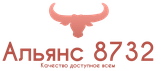 ooo alyans-8732