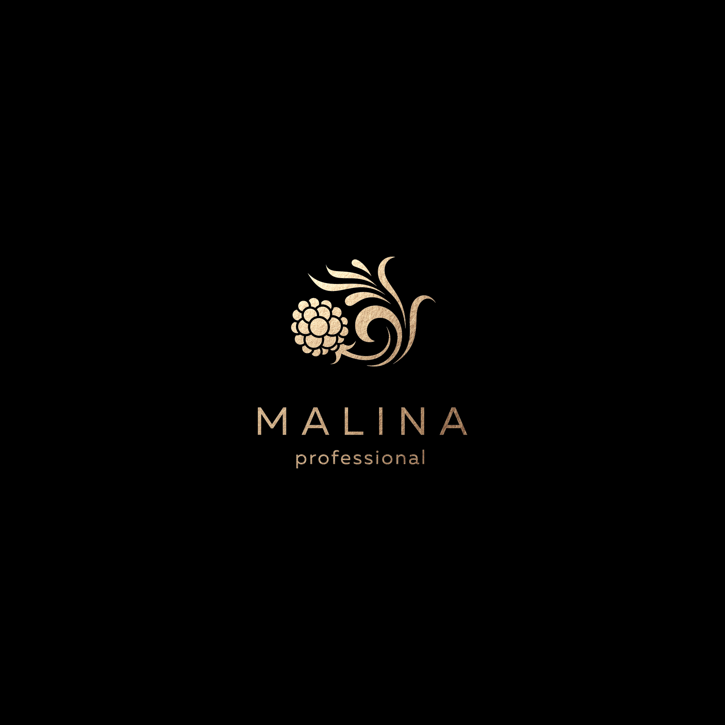 vse dlya-manikyura-optom-malina-professional