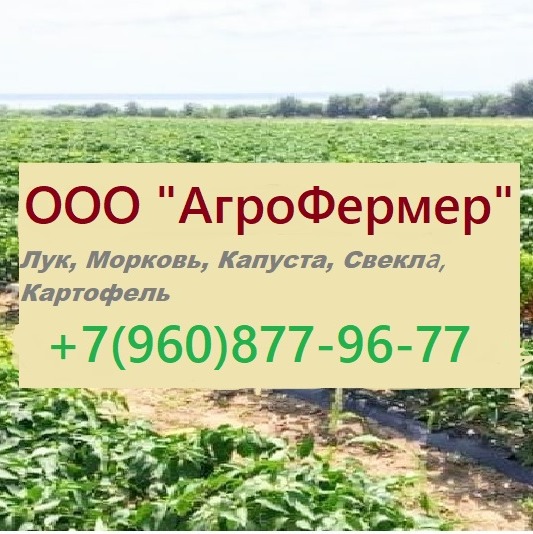 Логотип компании