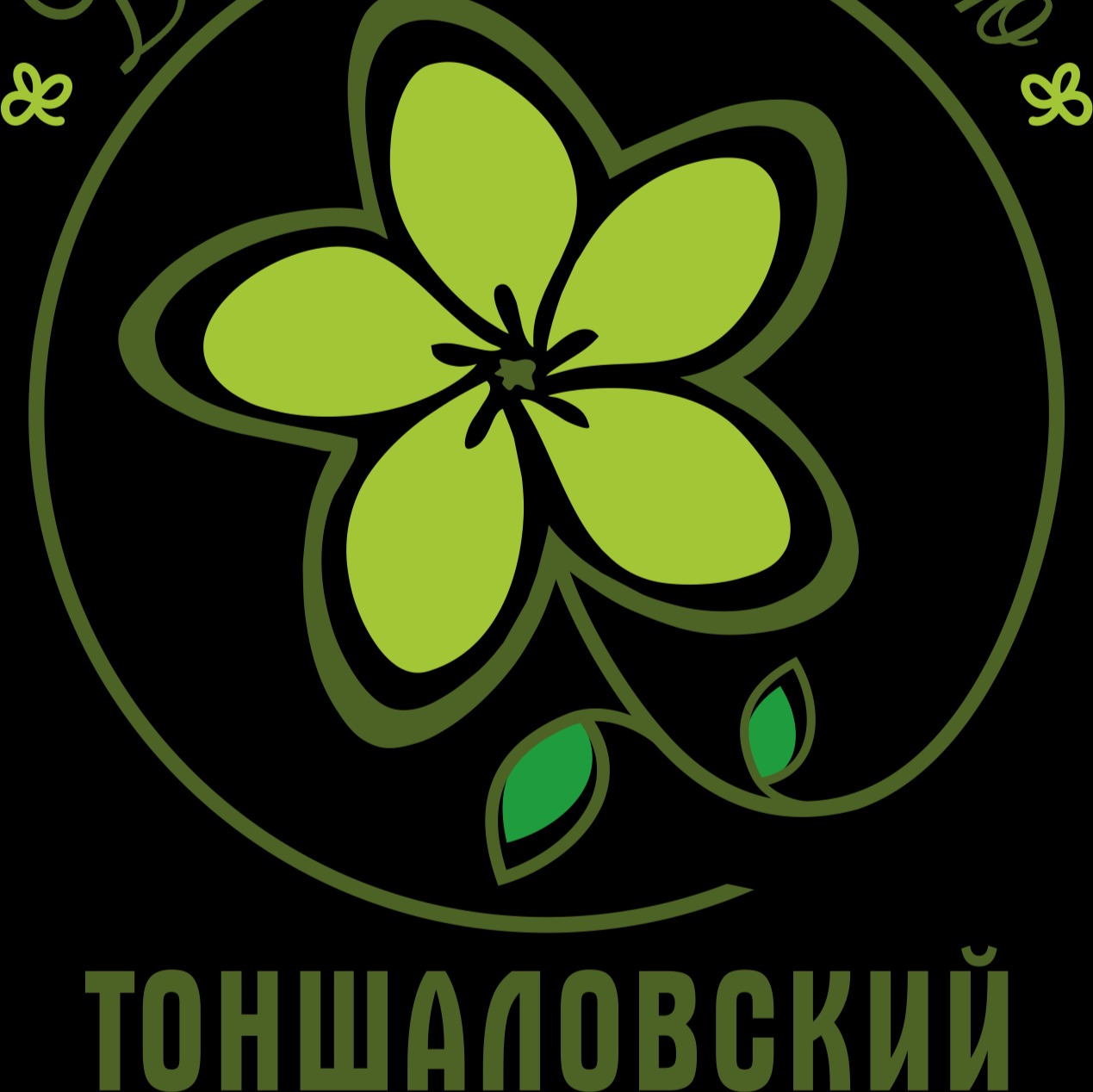 ip hohlov-nikolaj-alekseevich