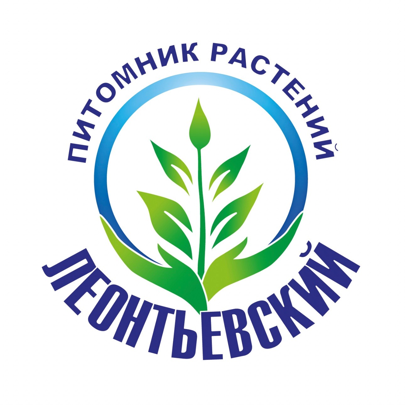 ip romanova-valentina-anatolevna