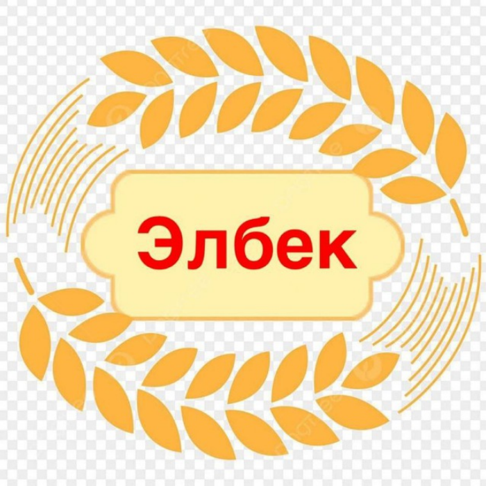 elbek ip-salchak-mihail-dekabrevich-