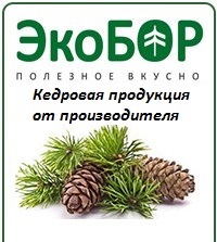 ekobor ooo