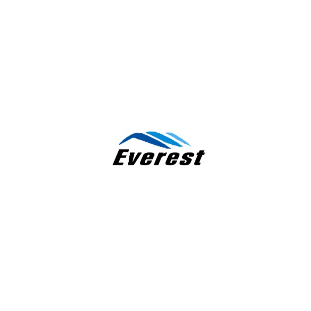 ooo pkf-everest