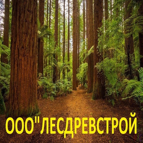 Логотип компании