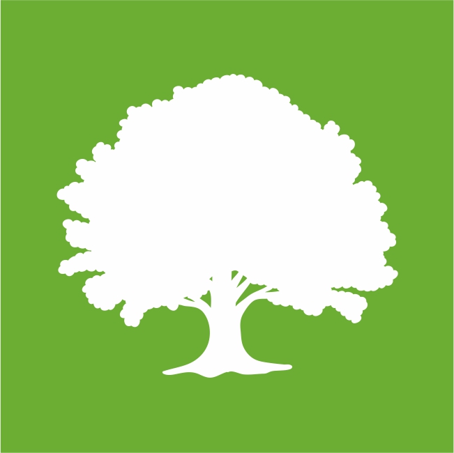 woodtech