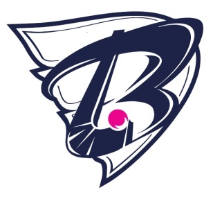 Логотип компании