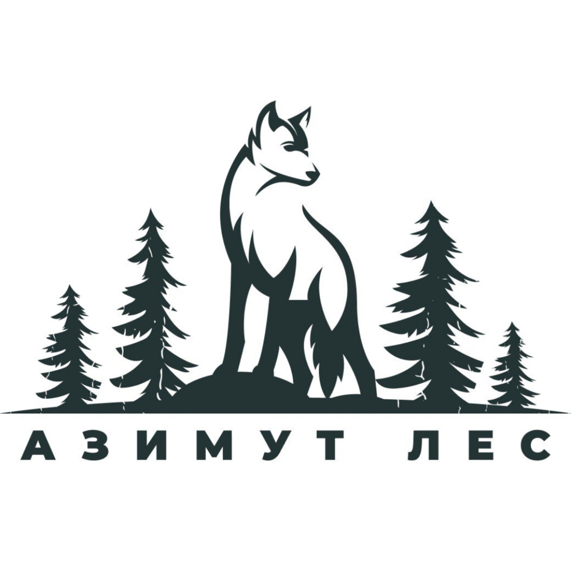 ramazanov0544 mail-ru