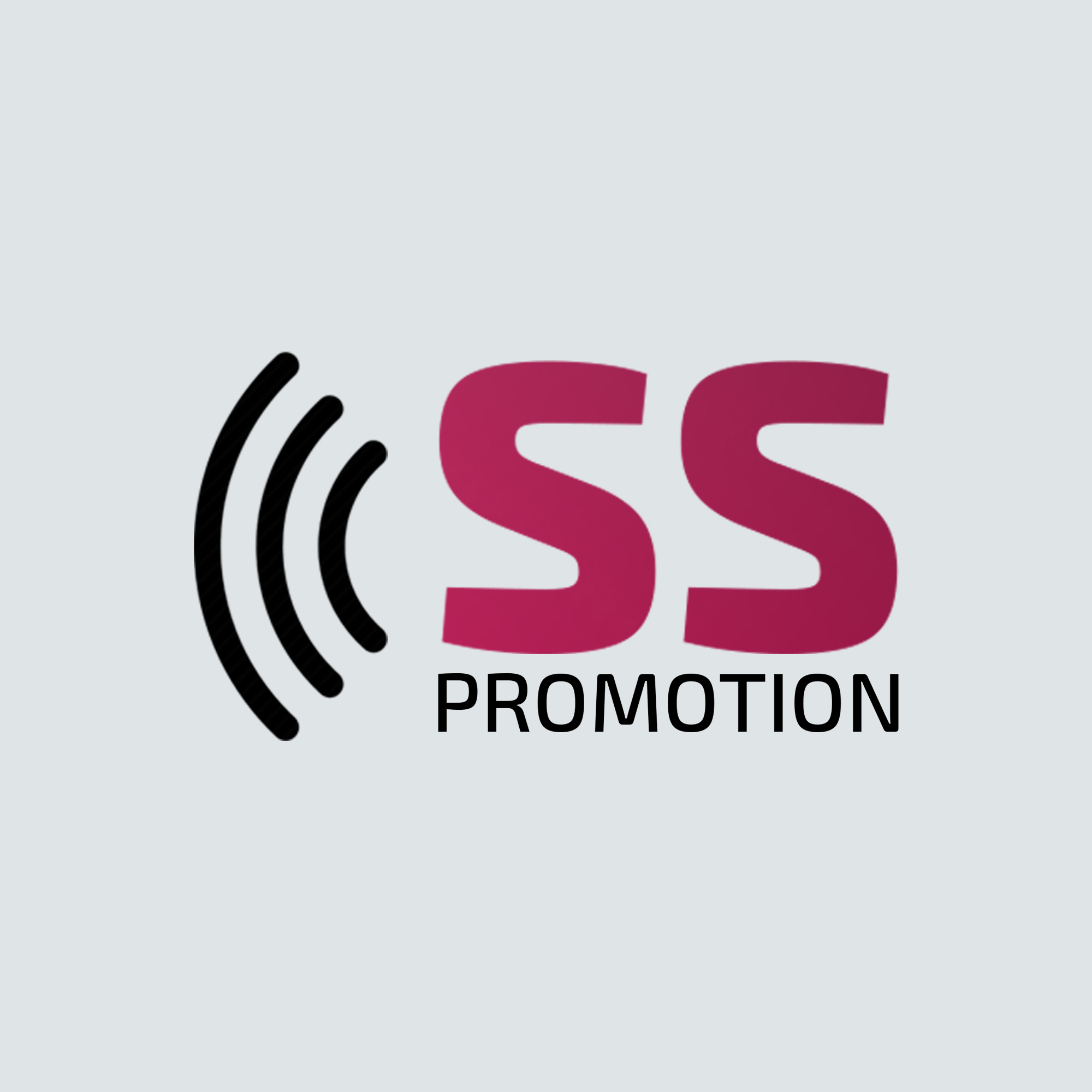 mezhdunarodnoe internet-agentstvo-sspromotion-