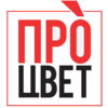ooo td-bazovyij-aktiv-