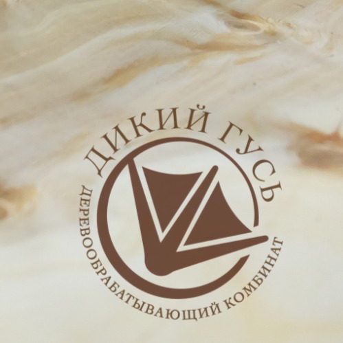 Логотип компании