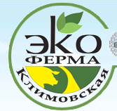 Логотип компании