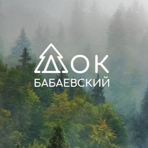 ip yuganov-aleksej-anatolevich-babaevskiy-dok-wood