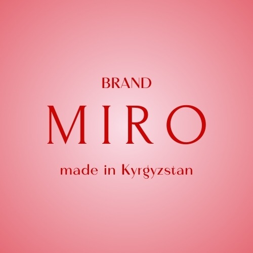 ip abdyikadyirova-asel-abdyikadyirovna