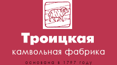 Логотип компании