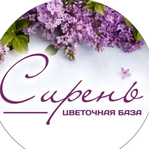 ip dzhandzhapanyan-asmik-horenovna