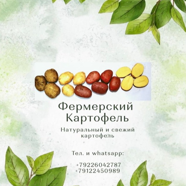 ip kfh-yalunin-s-n-