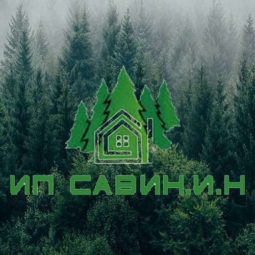 ip savin-ilya-nikolaevich