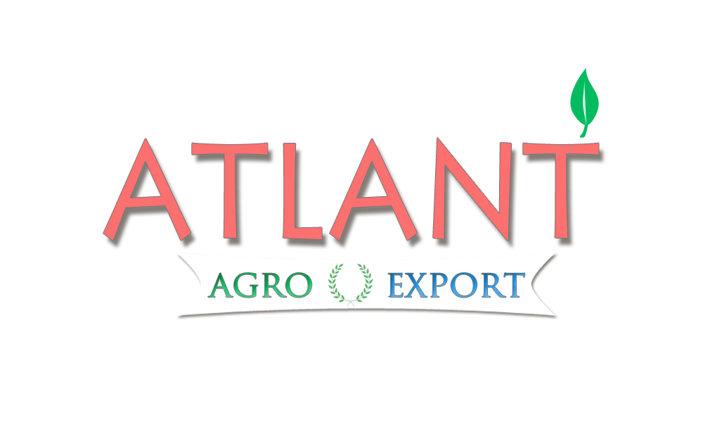 ooo atlant-agro-eksport-