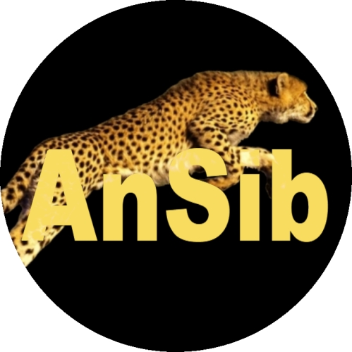mnogoprofilnaya internet-kompaniya-ansib-ip-ano