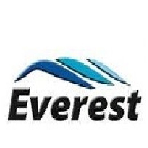 ooo pkf-everest-
