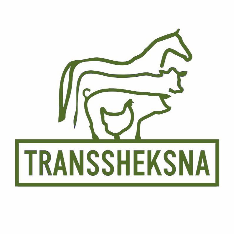 ooo trans-sheksna-